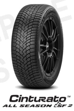 PIRELLI CINTURATOALLSEASONSF2